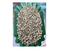 Premium Arabica & Robusta Uganda Ltd. (PARU) Coffee Call or WhatsApp +27631501216