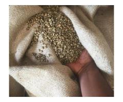Green Coffee Beans +27631501216 Premium Arabica & Robusta Uganda Ltd. (PARU) Coffee